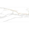 Swan Satvario 60x120 Πλακάκι Δαπέδου Εσωτερικού  Χώρου  Rettificato Πορσελανάτο  Λευκό