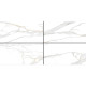 Swan Satvario 60x120 Πλακάκι Δαπέδου Εσωτερικού  Χώρου  Rettificato Πορσελανάτο  Λευκό